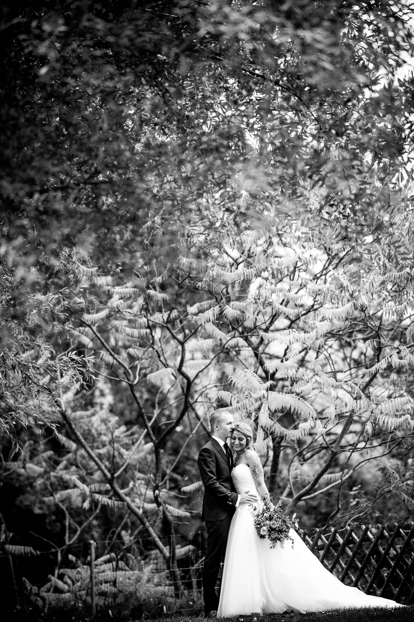 Export x3 1DX25994 Hochzeit 2019 Tatjana und Hermann 2